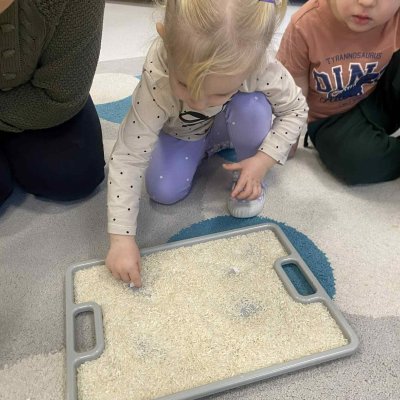 Szukamy zwierzaka domowego