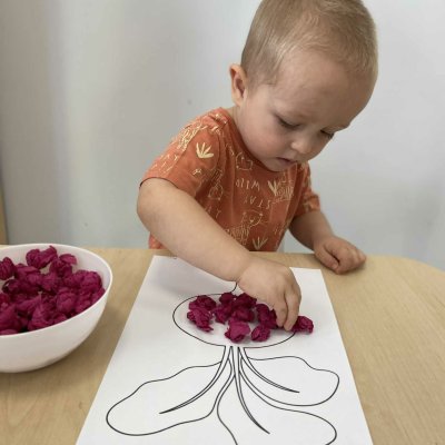 Buraczek i marchewka