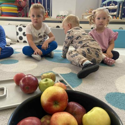 4cb16537-9162-48a6-80fb-0148de020b09_1