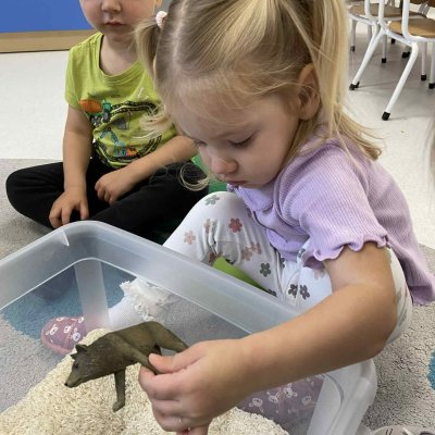 1cc5af3e-e851-49f7-8d8d-bf4e08b42e00