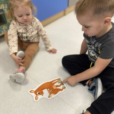 51a02273-f30a-48f5-b9ad-08c302e4c9a4