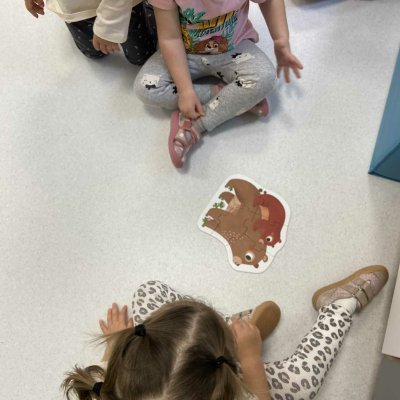 57218c29-ca66-446e-bf10-a1985b5632d8