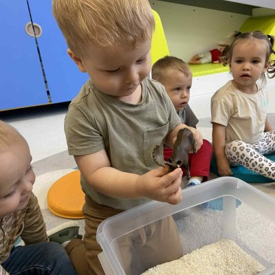 5c15dc0e-51c6-4197-89ae-babb73595d2f