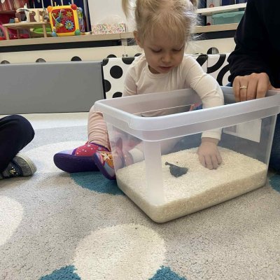 61140900-e738-4bb0-b5f8-671327e4767d