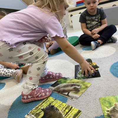 77ceb702-e777-4392-a205-44678f1e4940