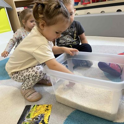 7deca942-da09-42e8-9d5e-5112910dd5cd