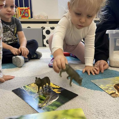 91ba93e2-69dd-4d7e-9bc4-29bb003954f7