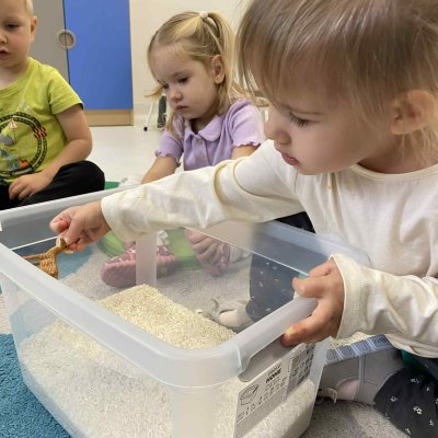 95b056b2-14c9-4129-94b9-c41771f2e405