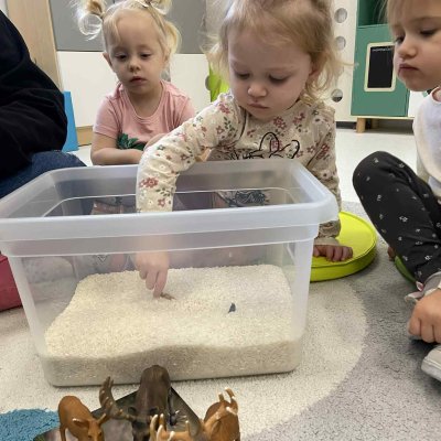 982fe75f-00d1-4828-b618-67640983a397