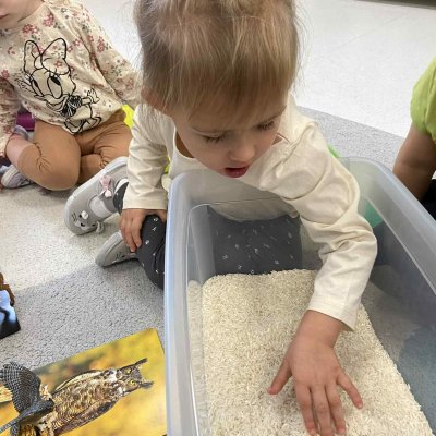 d461b1f5-5b5b-42d9-ab06-4f59b44412a7