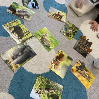 e95aa310-2215-4590-ad93-4760f39c0031