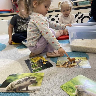 f270e5ce-ff60-4cb8-9bb3-e9aa42df9d8d