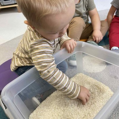 fc9081e3-06d9-4a13-be2a-ffd747046c65