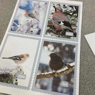 cedd520e-e7f2-42af-99ac-c08b6656ff0b