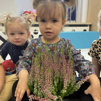 1592283f-291c-453a-b344-1b7d1a8fcbc2