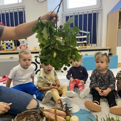 611c110a-c376-4eba-8322-4e3202d0a2e9