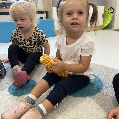 93ca88e9-9bc9-4e8d-a277-39d19531ffe6