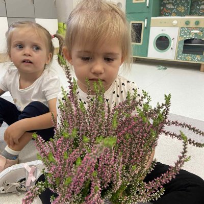 9c3d03d5-7f54-4ef0-904d-fad32e44f1b1