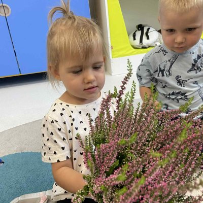 a14169e2-ca3a-40df-a8ac-6f596f18a029