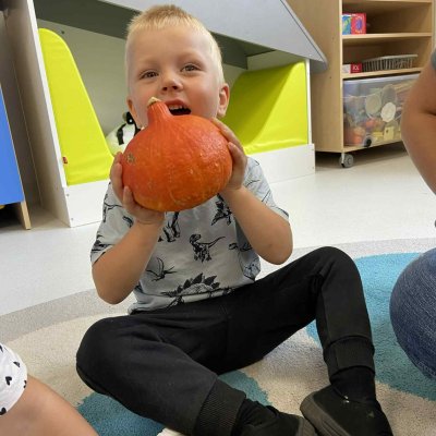 adabf58a-155d-4c36-913f-fe55529bf7a8