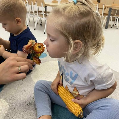 b10a1fd5-fd4c-4841-bc6a-d54cb325f7a4