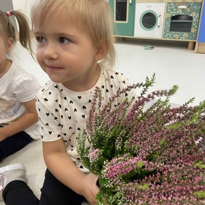 e91c435d-45f6-4e8d-a515-2e610fa3fdd6