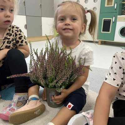 f3665a42-2371-41b1-b1ee-a5878709741d