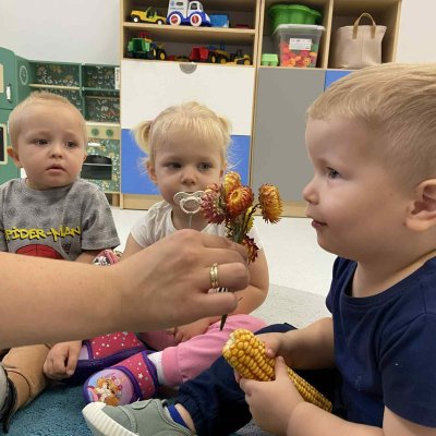 f74acb8e-8b0f-475c-9f52-e47cce1994c4