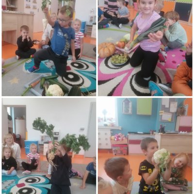 Collage_20241012_213038