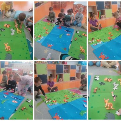 Collage_20241012_214236