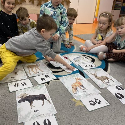 Tropem leśnych zwierząt