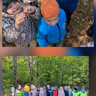 W poszukiwaniu jesiennych liści