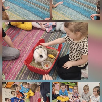 Spotkanie z Gosi króliczkiem