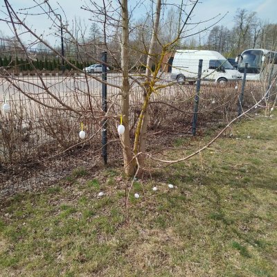 aa78df5d-7a51-4675-a7d5-523bdb21b544