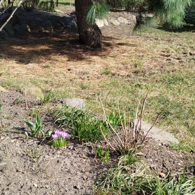 e6d5849c-9f1b-4e37-9ca4-34dcceaa13d0