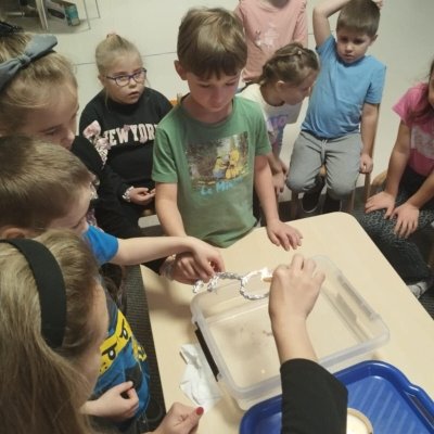 7598fae3-f2b9-478a-b403-4aaa3bb95deb