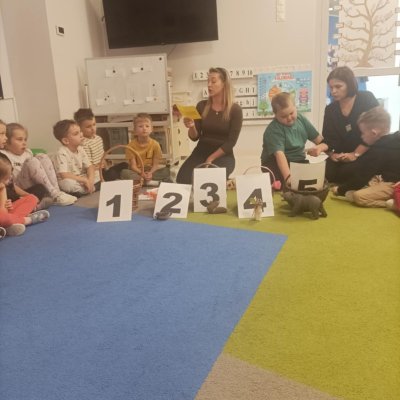 Zajęcia matematyczne - mieszkańcy lasu