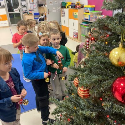 5aab0dec-db4a-426f-8f36-bae66753f4fc