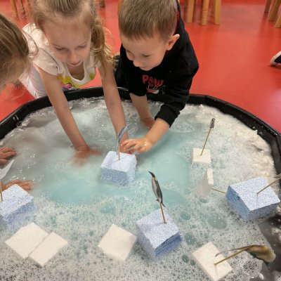 c4a77bfd-893e-4bcb-a747-32f499ec67b5